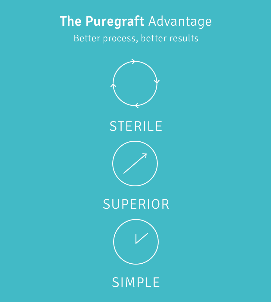 Puregraft Infographic