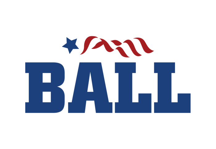Greg Ball for NY Logo